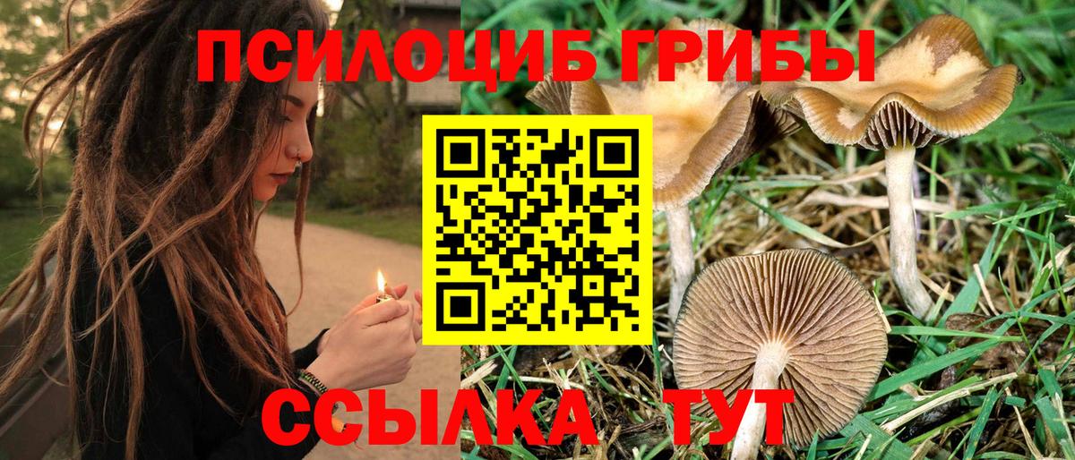 Псков  Галлюциногенные грибы Psilocybine cubensis  Вход с VPN  Галлюциногенные грибы Psilocybe 